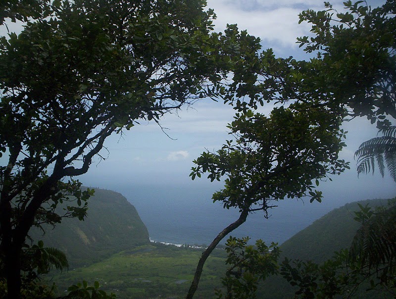 Waipio_Valley